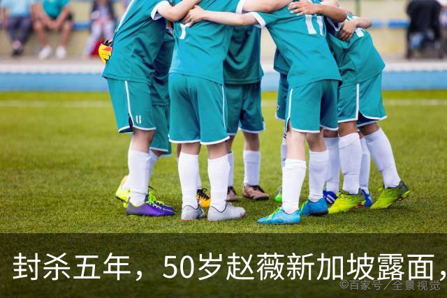 封杀五年，50岁赵薇新加坡露面，自曝谋生手段，面相彻底变了！